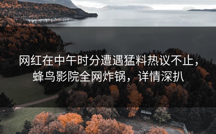 网红在中午时分遭遇猛料热议不止，蜂鸟影院全网炸锅，详情深扒