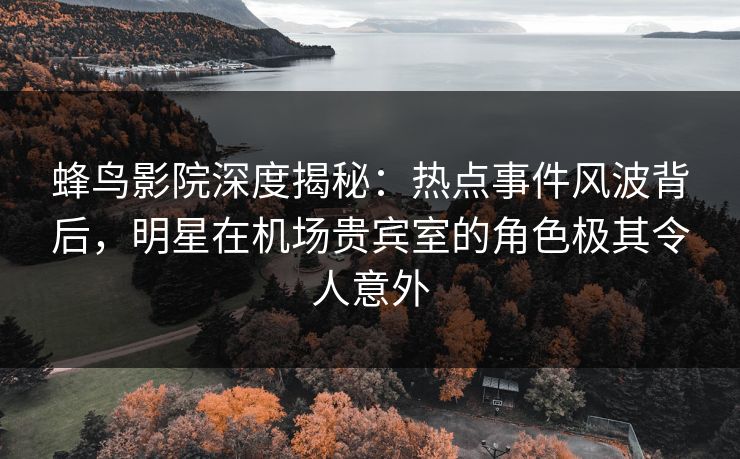 蜂鸟影院深度揭秘：热点事件风波背后，明星在机场贵宾室的角色极其令人意外